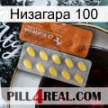 Низагара 100 42